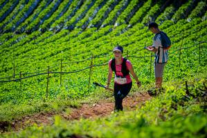 BIB: 
                            <button type="button" onclick="openModal(19162654)" class="btn btn-primary btn-sm float-right btn-popup" data-toggle="modal" data-target=".modal-high-quality">
                        <i class="fas fa-shopping-cart"></i> Add to Cart
                    </button>
                                            <button type="button" onclick="isThisMe(19162654, true)" class="btn btn-success btn-sm float-right btn-popup btn-isme hidden" data-toggle="tooltip" data-placement="bottom" title="นี่คือรูปของคุณใช่ไหม คลิกที่นี่เพื่อเอาเข้าอัลบั้ม">
                        <i class="fas fa-plus"></i> Add to album
                    </button>
                    <button type="button" onclick="isThisMe(19162654, false)" class="btn btn-warning btn-sm float-right btn-popup btn-isnotme hidden">
                        <i class="fas fa-ban"></i> Remove from album
                    </button>